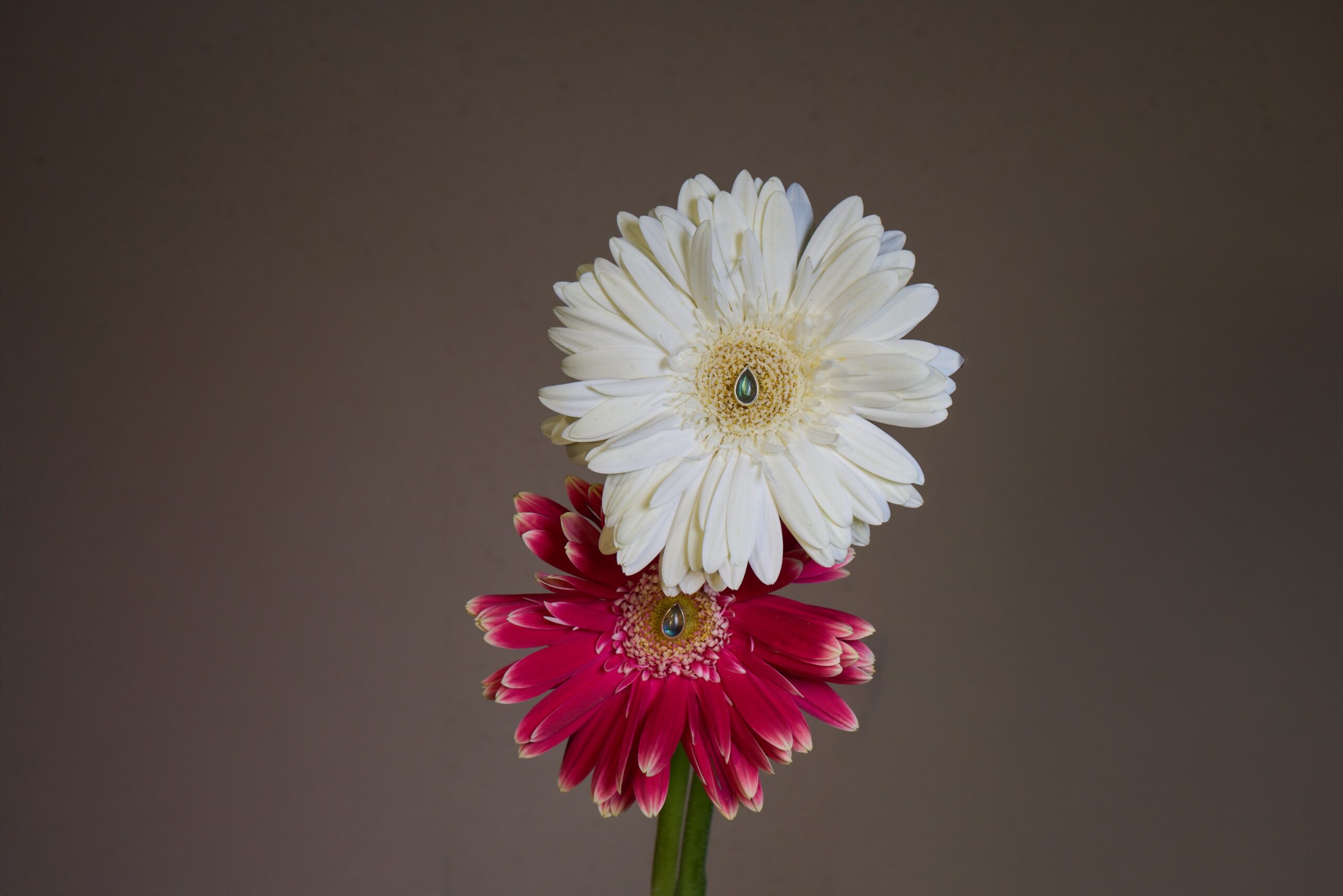 Topos Aura Boreal (Baño en Oro) - Image 2